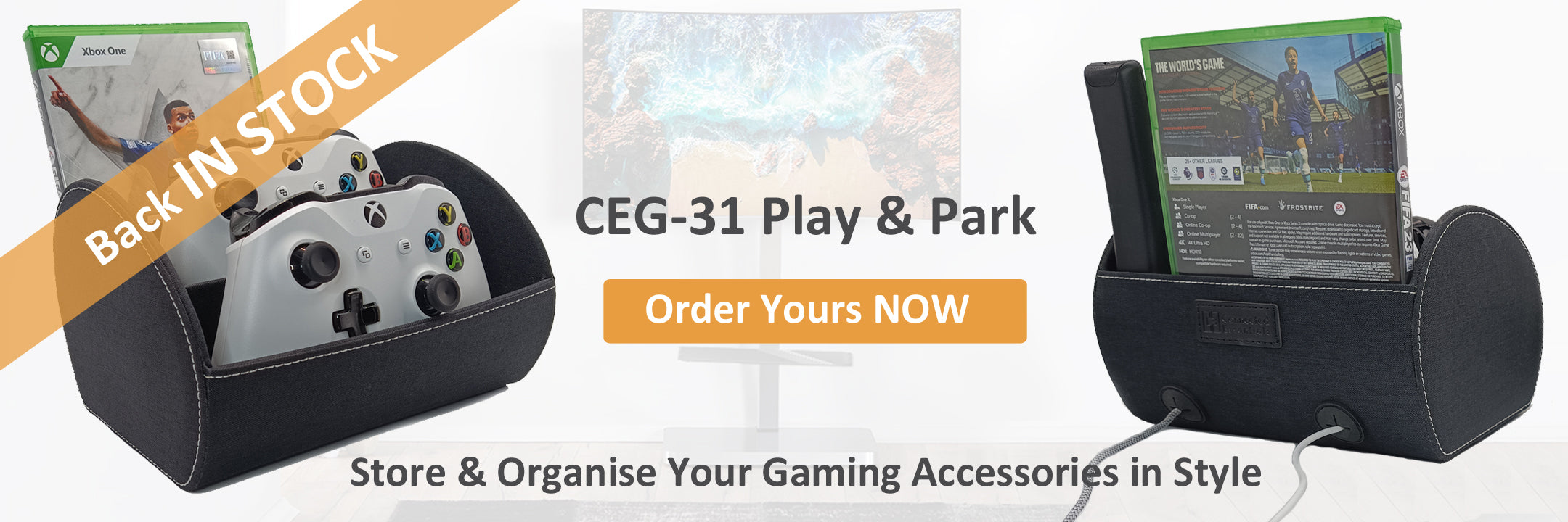 Controller Holder & Organiser CEG-31