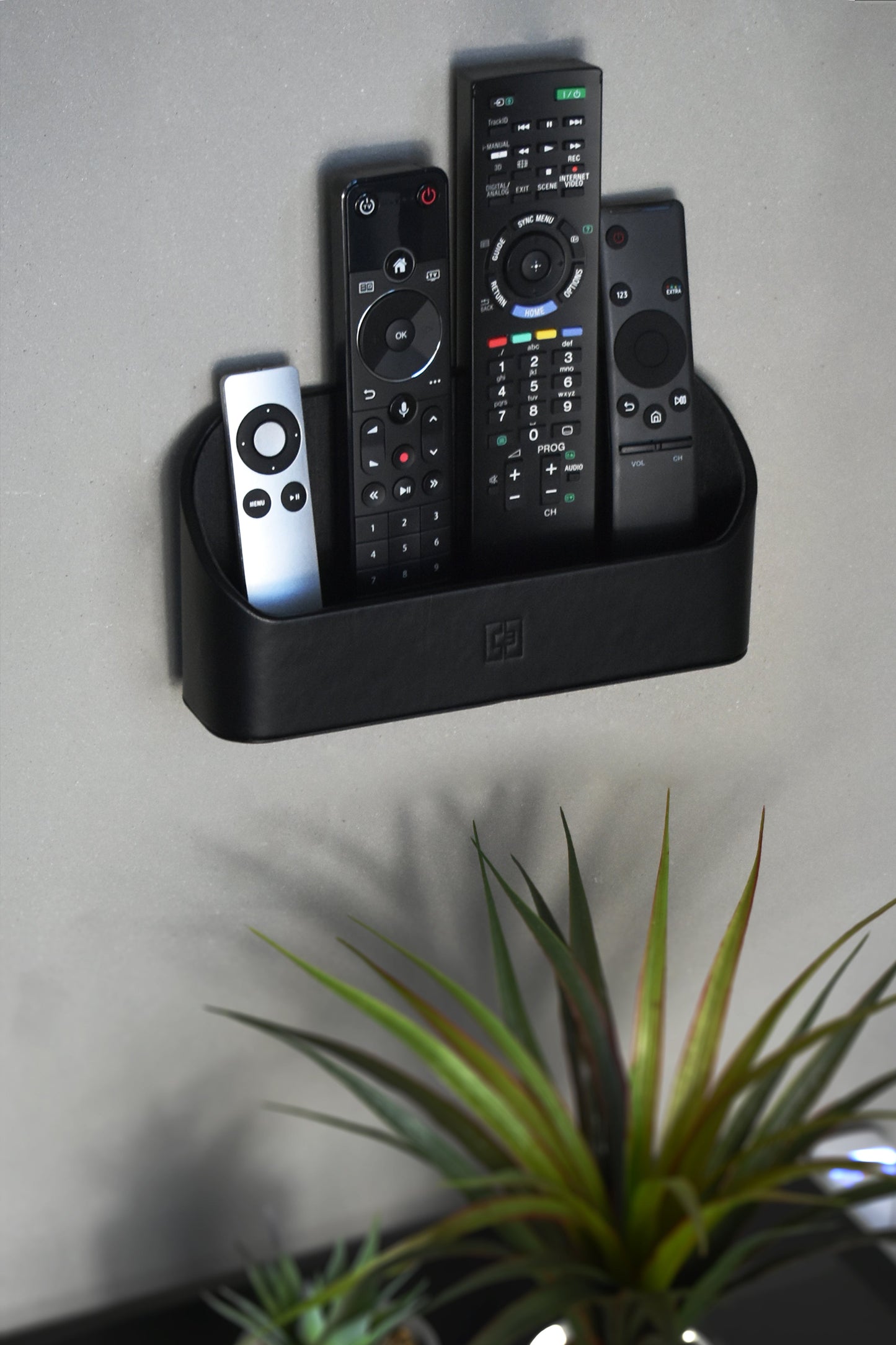 Wall Mounted TV Remote Control Organiser - CEG-11
